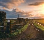 UFU brings consumers ‘behind the farm gate’ for beef week