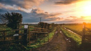 UFU brings consumers ‘behind the farm gate’ for beef week
