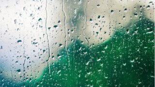 ‘Unrelenting’ wet weather means continued financial pressure for farmers – MP