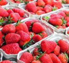 Co-op first to announce move to 100% British strawberries  