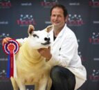 'Textravaganza' National Texel Show to take place in July