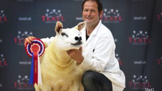 ‘Textravaganza’ National Texel Show to take place in July