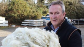 New season wool now arriving at the Ulster Wool in Antrim