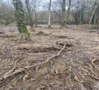 Farmer pollutes stream after collapse of a dam made of manure