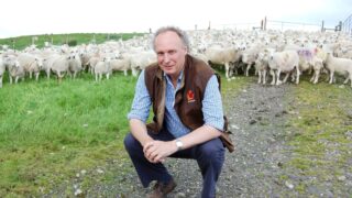 EasyCare sheep farmer ‘positive’ about future lamb prices