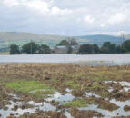 Scientists: Ireland and UK face ‘a wetter, damper and mouldier future’