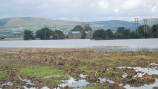 Scientists: Ireland and UK face ‘a wetter, damper and mouldier future’