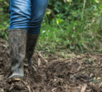 Cumbria: Farmer Network to host biodiversity net gain workshops