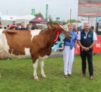Coloured dairy breeds shine at Balmoral 2024