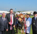 Trevor Shields is the Champion of Champions at Balmoral Show 2024