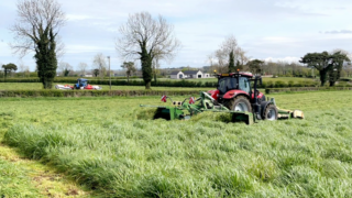 Spring planting now well underway in south Antrim