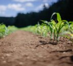 Hundreds of farmers to attend WFO annual meeting
