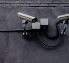Mandatory CCTV is a 'big step forward' for animal welfare -BVA