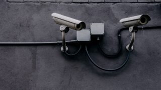 Mandatory CCTV is a ‘big step forward’ for animal welfare -BVA