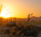April 2024 hottest on record globally