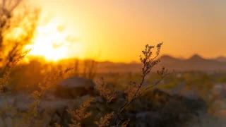 April 2024 hottest on record globally