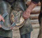 MP raises concerns over clash of farrier organisations