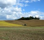 Food output levels can be maintained in NI – expert