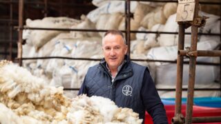 Decline in flock numbers is resulting in less wool – Ulster Wool