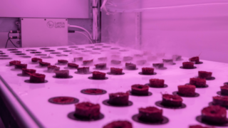 University of Essex grows onions in ‘bright pink shipping containers’