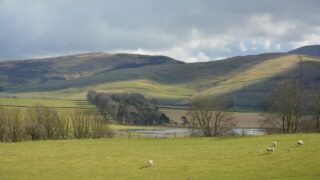 Call for action to give farmers more export opportunities
