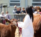 Royal Bath & West Show to feature 'wide range of livestock'