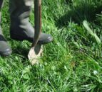 HCC to attend Royal Welsh Agri Society's Grass and Muck event