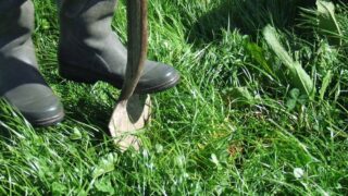HCC to attend Royal Welsh Agri Society’s Grass and Muck event