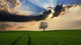 UFU to teach importance of farming families in schools