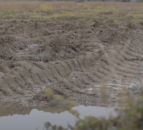 Research: Arable farmers could lose 'nearly' £1 billion