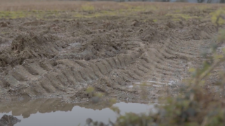 Research: Arable farmers could lose ‘nearly’ £1 billion