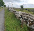 Watch: Are you thinking of restoring dry stone walls?