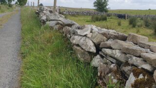 Watch: Are you thinking of restoring dry stone walls?