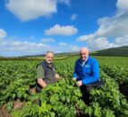 CAFRE to host blight workshops to help growers with control strategies