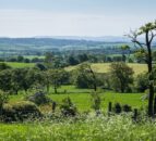 Government injects £343m into rural economy