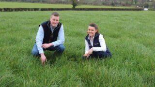 Protected urea sales continue to grow in Northern Ireland