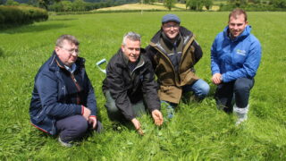 Red clover boosts silage yields on Tyrone dairy farm