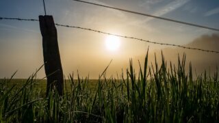 Tenant farmers demand policy shift from next government