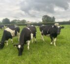 FFA endorses calls for ‘fair farmgate prices’ across Europe