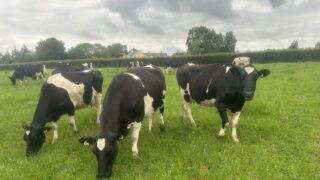 FFA endorses calls for ‘fair farmgate prices’ across Europe