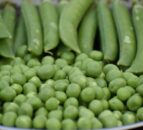 Great British Pea Week to return for a ninth year