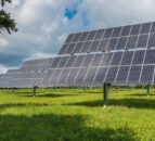'Major' solar farm planning refused to protect wildlife and livestock