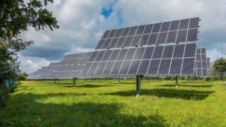 ‘Major’ solar farm planning refused to protect wildlife and livestock