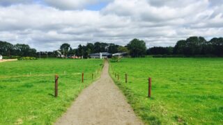 Preventing lameness through grazing infrastructure