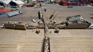 Australian live sheep export phaseout by 2028 set in law