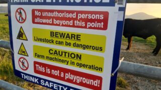 HSENI: Attitudes on farm safety and risk-taking need ‘major rethink’