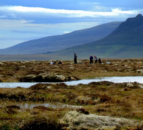 Flow Country becomes world's first peatland UNESCO World Heritage site