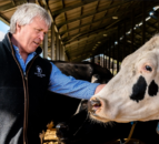 Supermarket groups back feed trials to cut methane emissions from UK farms