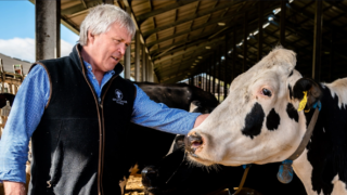 Supermarket groups back feed trials to cut methane emissions from UK farms