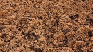 Report: 3,500 ‘falsified’ soil samples submitted in NI with ag planning applications